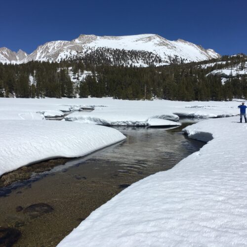 Snow Basics Clinics