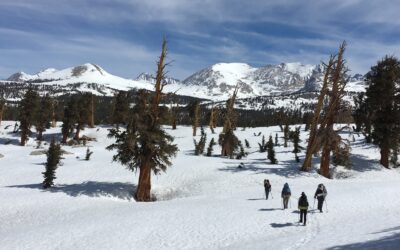 Recommendations for Aspiring thru-hikers to Avoid the Dangers of Snow-Hiking