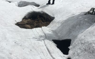 What makes snow, in and of itself, so dangerous to snow-hikers?